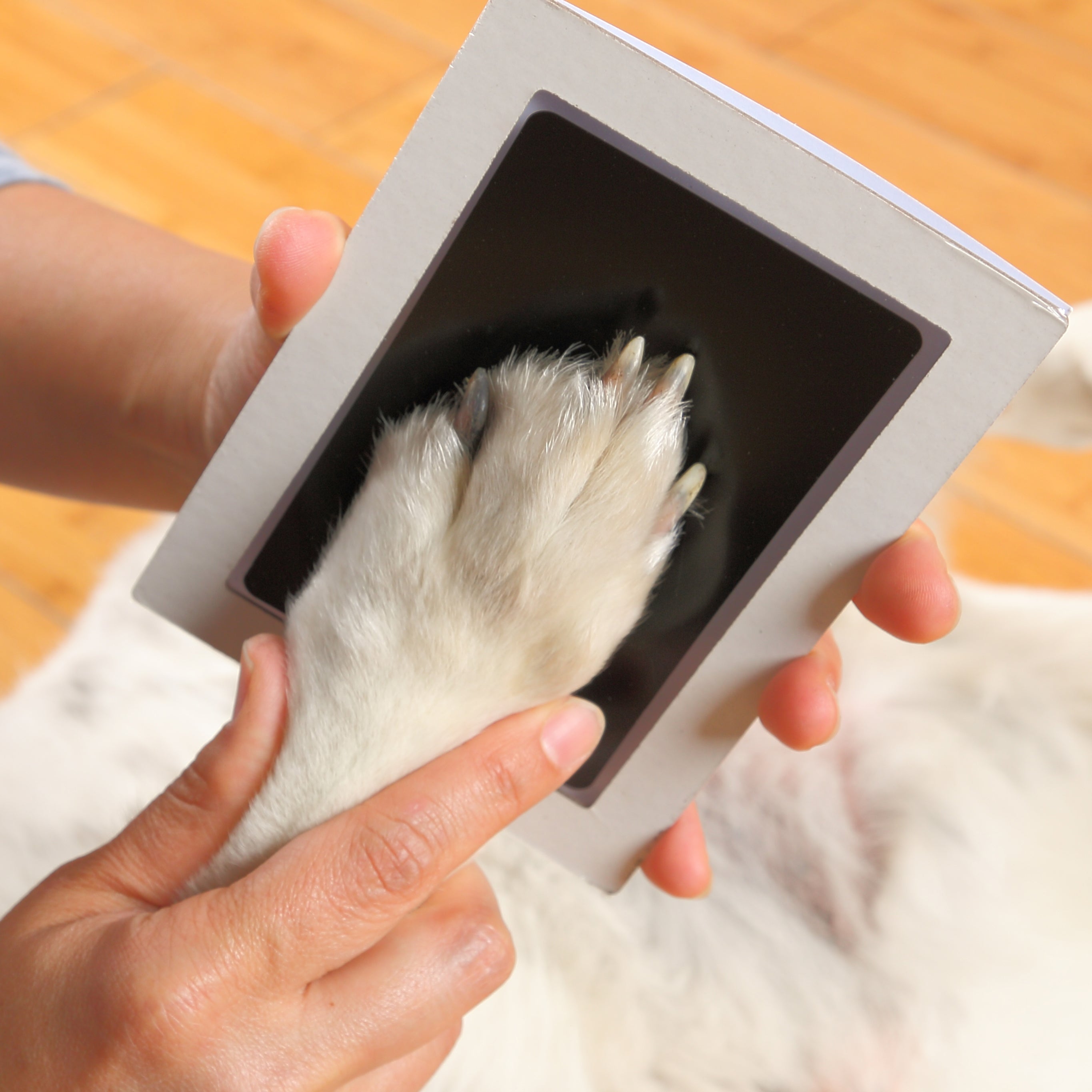 Green Pollywog - Extra-Large Clean Touch Inkless Ink Pad for Pets | Pawprints for Dogs & Cats Non-Toxic | Paw Print Stamp Kit | Dog Paw Print Kit | Cat Footprint Keepsake